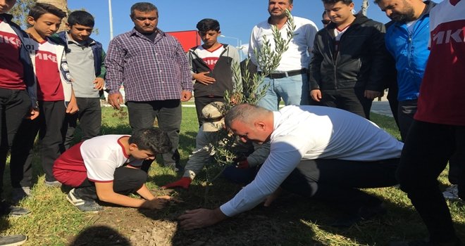 Karataş Belediyesi Zeytin ve Turunçları toprakla buluşturdu.