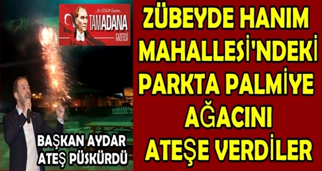 Ceyhan'da Zübeyde Hanım Mahallesi'ndeki parkta, palmiye ağacını ateşe verdiler