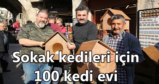 Sokak kedileri için 100 kedi evi