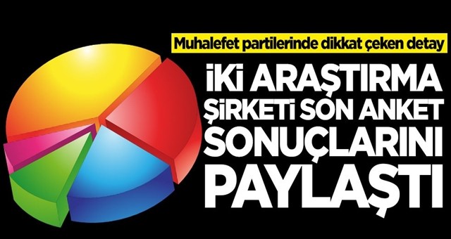 İki araştırma şirketi son anket sonuçlarını paylaştı!