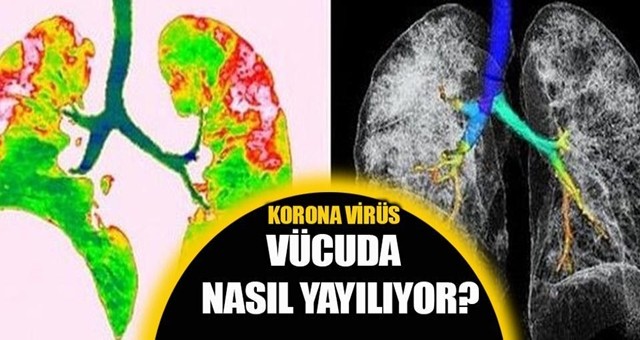 Virüsün vücuda verdiği yeni zararlar!