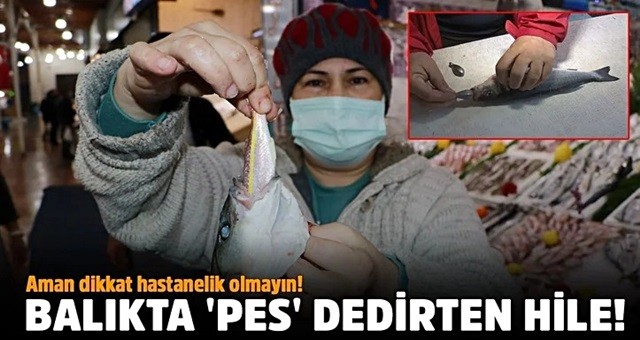 Balıkta 'pes' dedirten hile!.. Aman dikkat hastanelik olmayın!