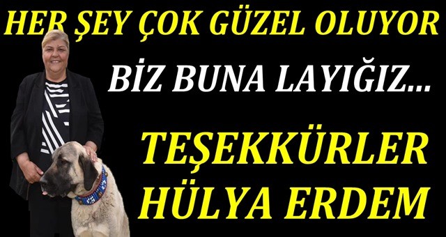 Ceyhan'da her şey çok güzel oluyor!