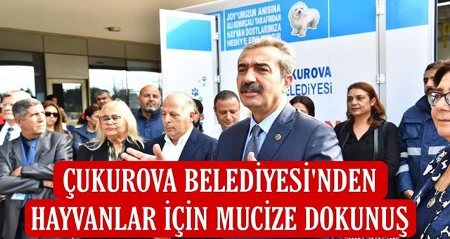 Çukurova Belediyesi'den hayvanlar için mucize dokunuş!