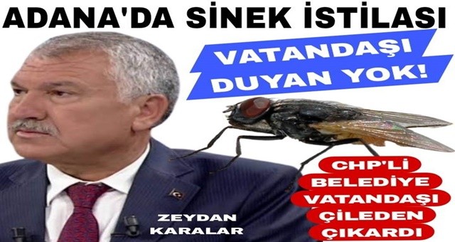 CHP'li Adana Büyükşehir Belediyesi isyan ettirdi! Kenti sinekler istila etti...