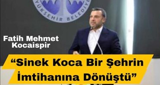 Kocaispir: “Sinek Koca Bir Şehrin İmtihanına Dönüştü”