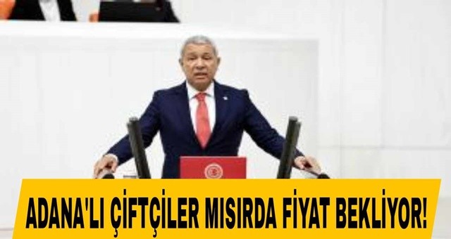 Adana'lı Çiftçiler Mısırda Fiyat Bekliyor!