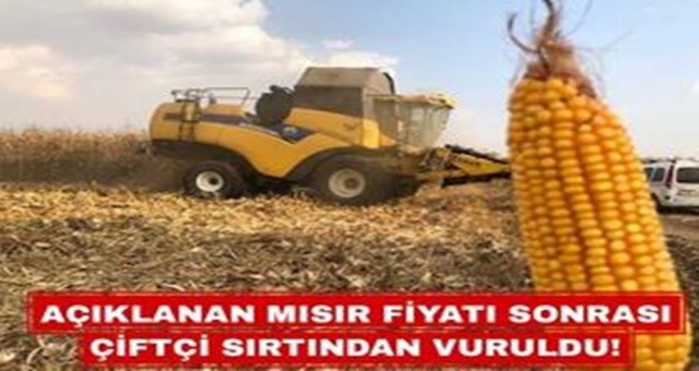 Açıklanan Mısır Fiyatı Sonrası Çiftçi Sırtından Vuruldu!