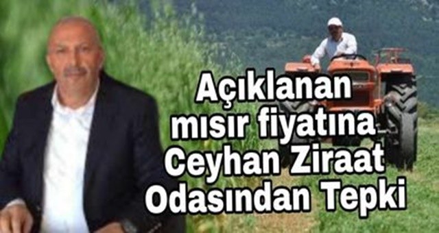 Açıklanan Mısır Fiyatına Ceyhan Ziraat Odası'ndan Tepki!