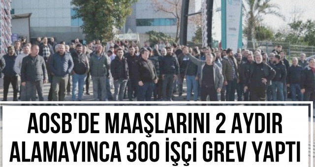 AOSB'de 300 İşçi Grevde!