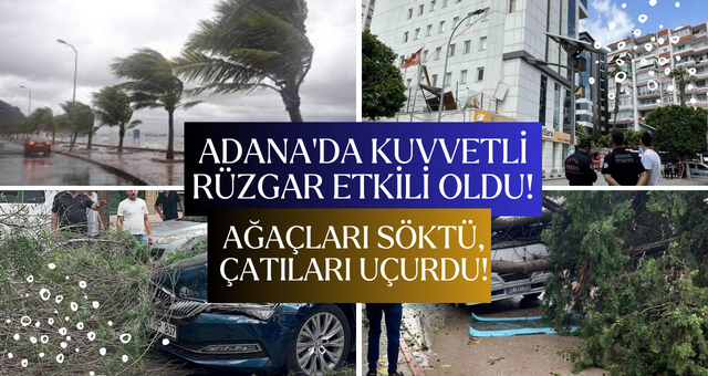 Adana’da Kuvvetli Rüzgar Etkili Oldu: Ağaçları Söktü, Çatıları Uçurdu