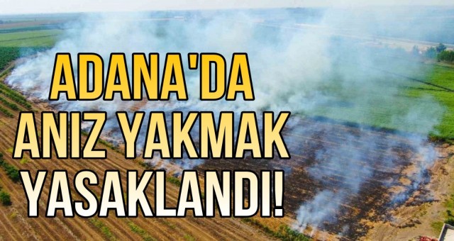 Adana’da Anız Yakmak Yasaklandı.