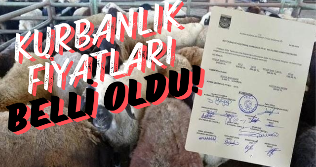 Kurbanlık Fiyatları Belli Oldu!