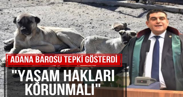 Adana Barosu Tepki Gösterdi!