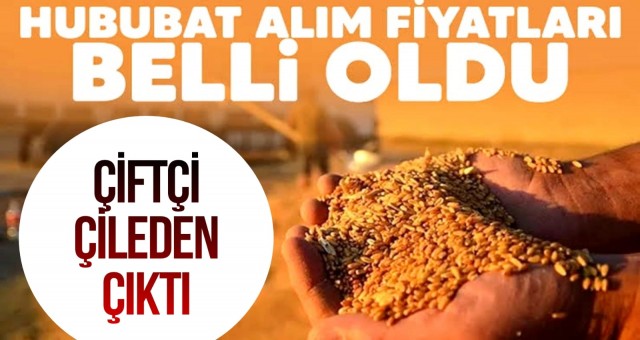 Hububat Alım Fiyatları Belli Oldu!