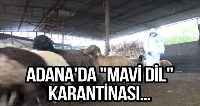 Adana'da 'Mavi Dil' Karantinası...