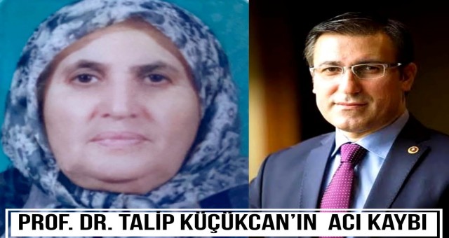 Prof. Dr. Talip Küçükcan'ın Acı Kaybı