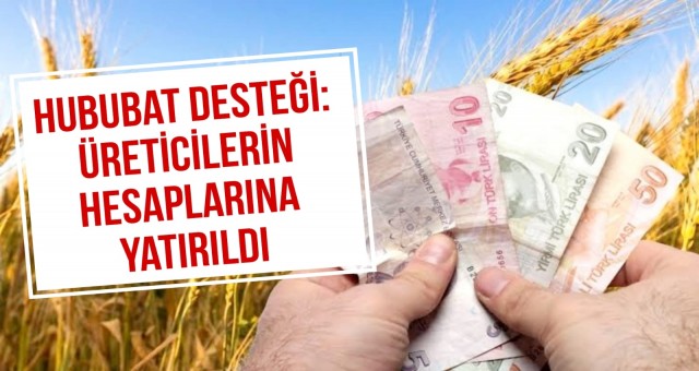 Hububat Desteği: Üreticilerin Hesaplarına Yatırıldı