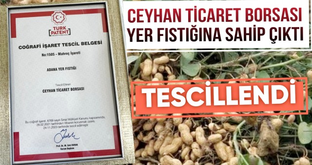 Ceyhan Ticaret Borsası Yer Fıstığına Sahip Çıktı!