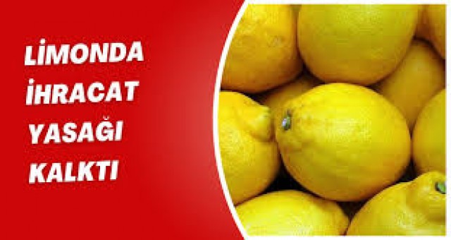 Limonda İhracat Yasağı Kaldırıldı