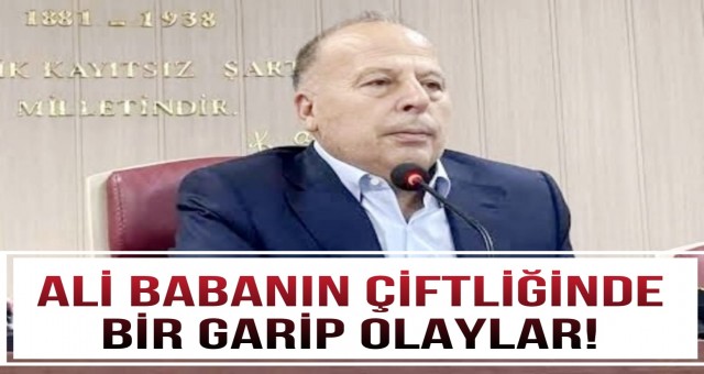 Yüreğir Belediyesi'nde Neler Oluyor?