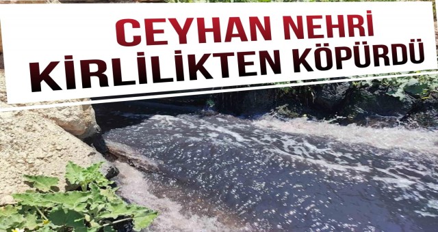 Ceyhan Nehri Kirlilikten Köpürdü