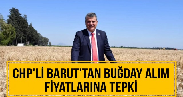 CHP'li Barut'tan Buğday Alım Fiyatlarına Tepki