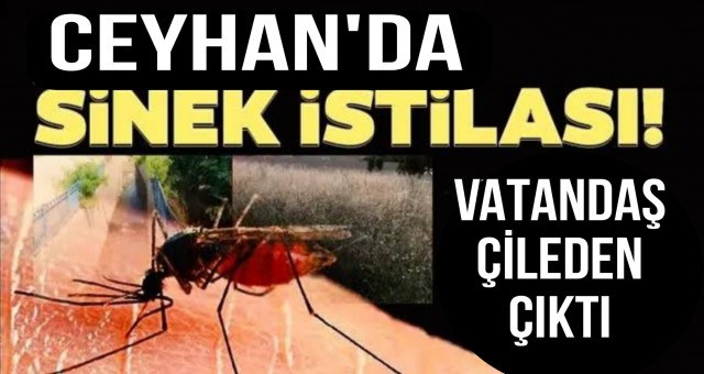 Ceyhanlı Vatandaşlar Çileden Çıktı!