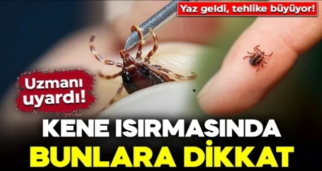 Yaz Geldi, Tehlike Büyüyor!