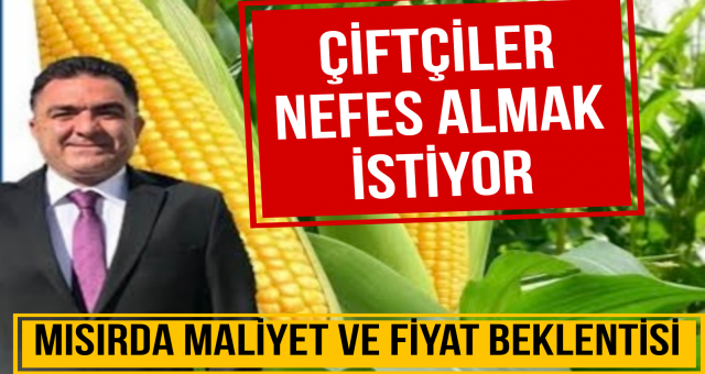 Mısırda Maliyet ve Fiyat Beklentisi