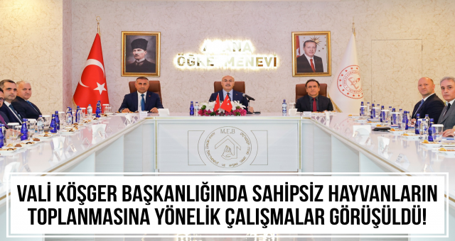 Sahipsiz hayvanların toplanmasına yönelik çalışmalar görüşüldü