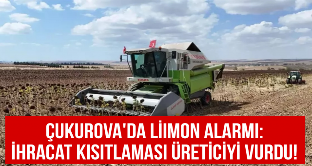 Çukurova'da limon alarmı: İhracat kısıtlaması üreticiyi vurdu!