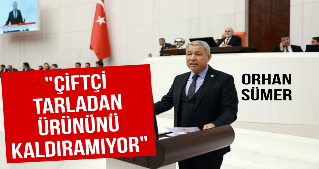 Çiftçi tarladan ürününü kaldıramıyor