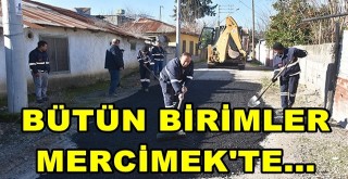 Ceyhan'da Hizmet Seferberliği