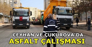 Ceyhan ve Çukurova'da asfalt çalışması