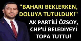 AK Partili Özsoy, Ceyhan Belediye Başkanı Hülya Erdem'i eleştirdi!
