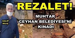 CHP'li Belediye, Ceyhan'ı pisliğe mahkum etti!
