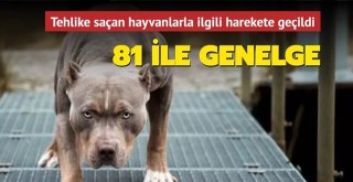 81 ilin valilik ve belediyelerine sahipsiz hayvanlarla ilgili genelge gönderdi