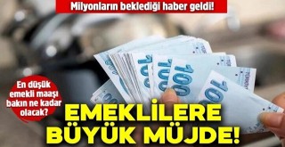 En düşük emekli aylığı 3 bin 500 TL'ye çıkartılıyor