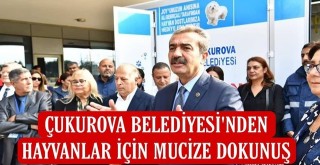 Çukurova Belediyesi'den hayvanlar için mucize dokunuş!