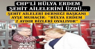 CHP'li Hülya Erdem Şehit Annelerini Üzdü...