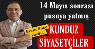 Ceyhan'daki pusuya yatmış kunduzlar...