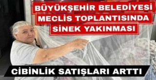 BŞB Meclisinde ‘Sinek’ Yakınması!