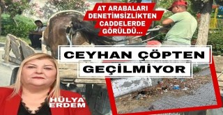 Ceyhan çöpten geçilmiyor...