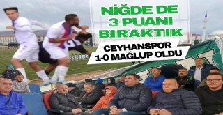 Ceyhanspor Niğde Belediyespor'a 1-0 yenildi