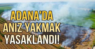 Adana’da Anız Yakmak Yasaklandı.