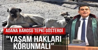 Adana Barosu Tepki Gösterdi!