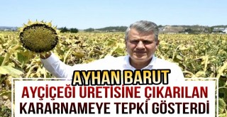 Barut, Ayçiçeği Üreticisine Çıkarılan Kararnameye Tepki Gösterdi