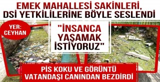 Vatandaşlar, Ceyhan DSİ Yetkililerini Göreve Çağırdı