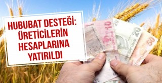 Hububat Desteği: Üreticilerin Hesaplarına Yatırıldı